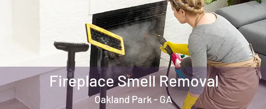 Fireplace Smell Removal Oakland Park - GA