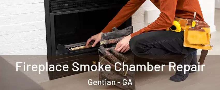 Fireplace Smoke Chamber Repair Gentian - GA