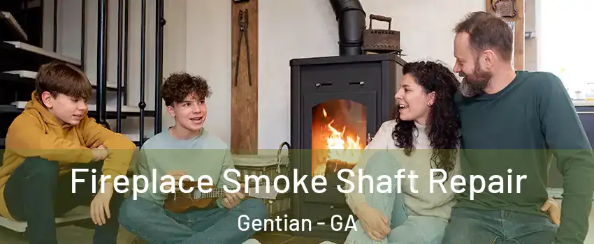 Fireplace Smoke Shaft Repair Gentian - GA