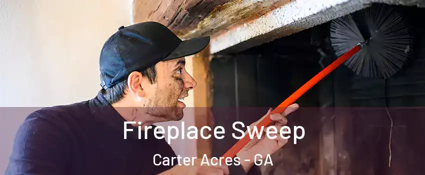 Fireplace Sweep Carter Acres - GA