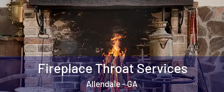 Fireplace Throat Services Allendale - GA