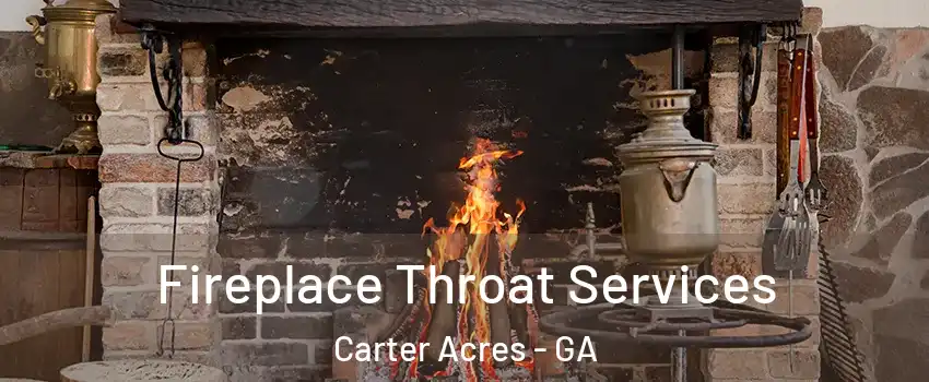 Fireplace Throat Services Carter Acres - GA