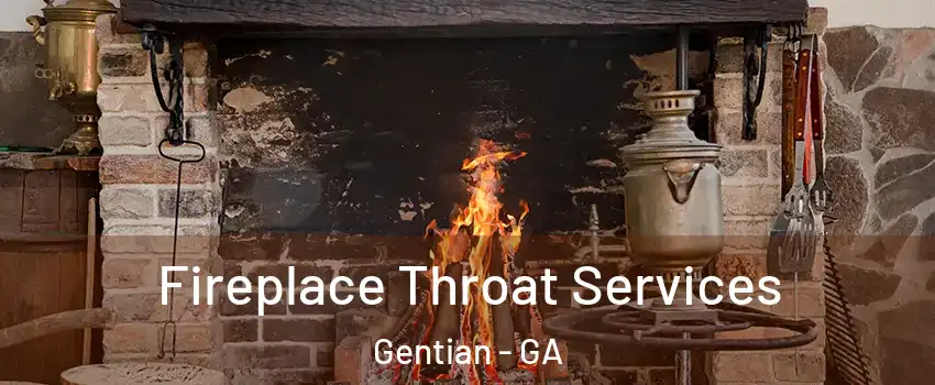 Fireplace Throat Services Gentian - GA