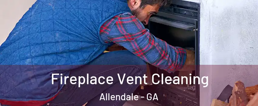 Fireplace Vent Cleaning Allendale - GA