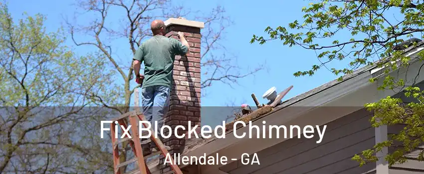 Fix Blocked Chimney Allendale - GA