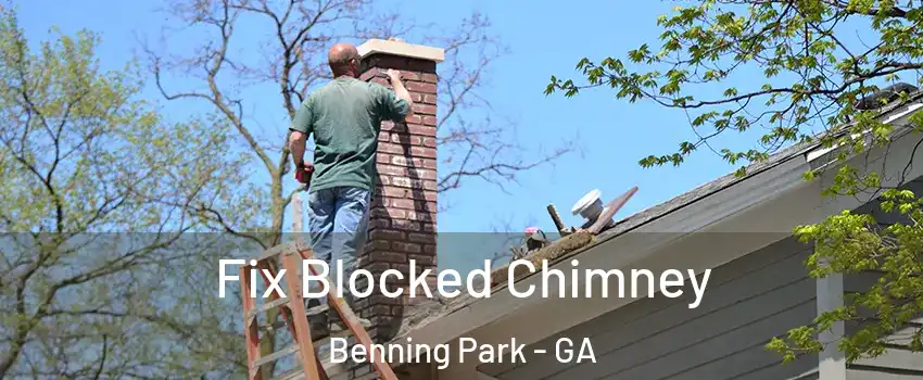 Fix Blocked Chimney Benning Park - GA