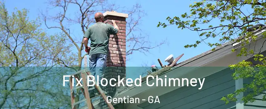 Fix Blocked Chimney Gentian - GA