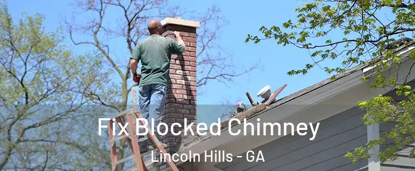 Fix Blocked Chimney Lincoln Hills - GA
