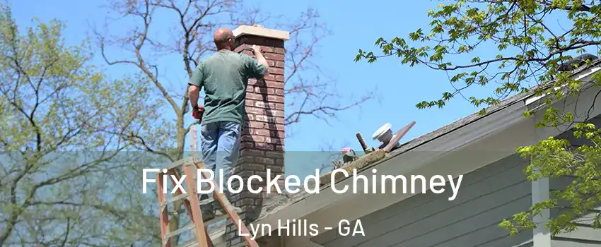 Fix Blocked Chimney Lyn Hills - GA