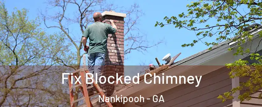 Fix Blocked Chimney Nankipooh - GA