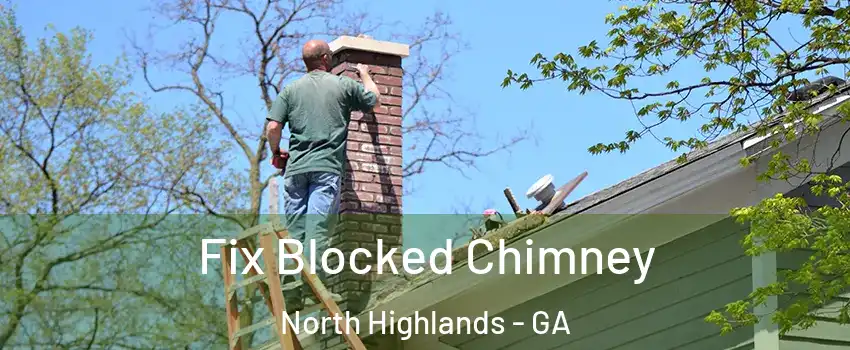 Fix Blocked Chimney North Highlands - GA