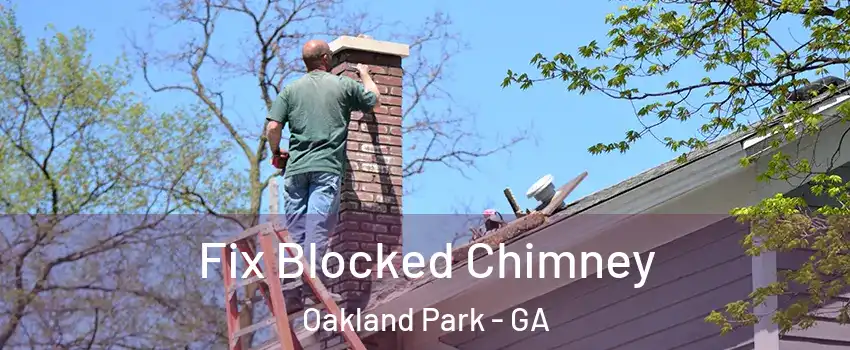 Fix Blocked Chimney Oakland Park - GA