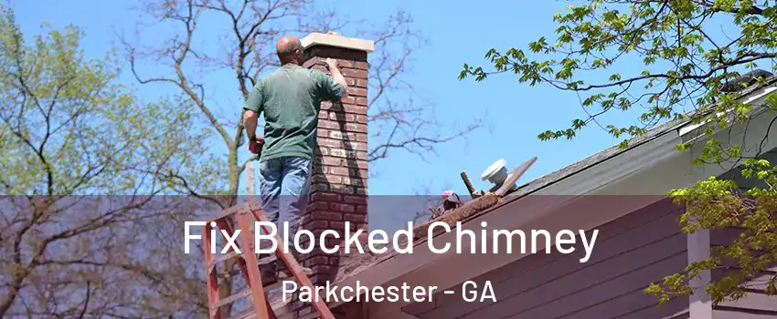 Fix Blocked Chimney Parkchester - GA
