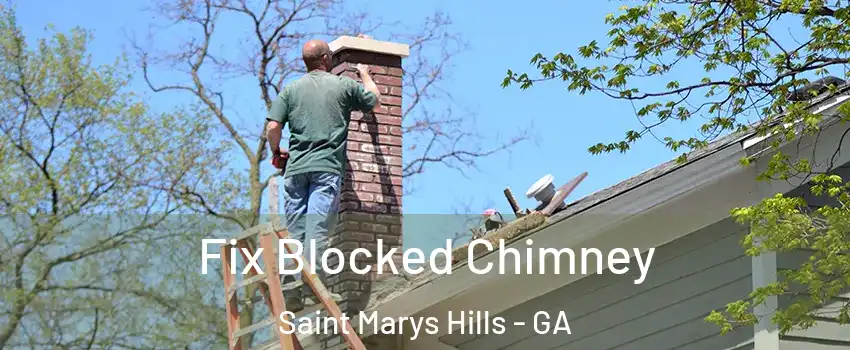 Fix Blocked Chimney Saint Marys Hills - GA