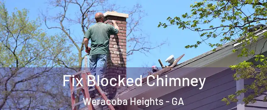 Fix Blocked Chimney Weracoba Heights - GA