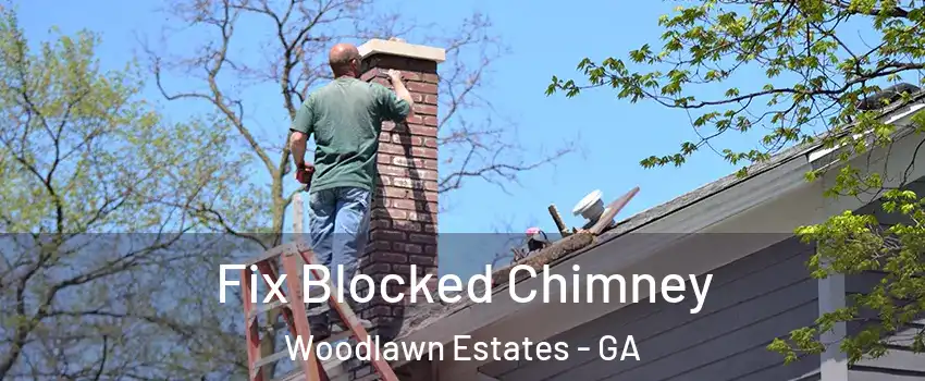 Fix Blocked Chimney Woodlawn Estates - GA