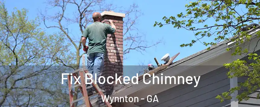 Fix Blocked Chimney Wynnton - GA