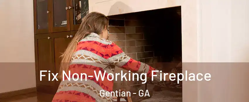 Fix Non-Working Fireplace Gentian - GA