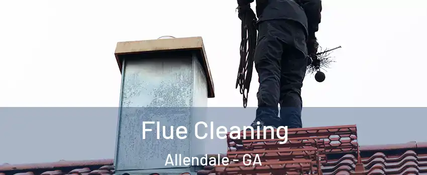 Flue Cleaning Allendale - GA