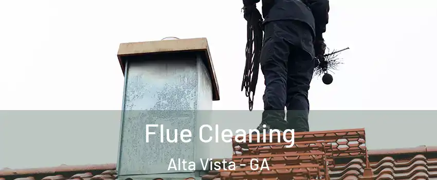Flue Cleaning Alta Vista - GA