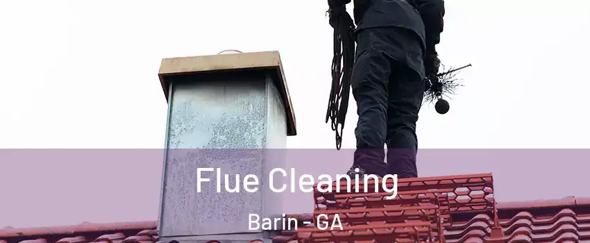 Flue Cleaning Barin - GA