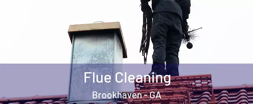 Flue Cleaning Brookhaven - GA