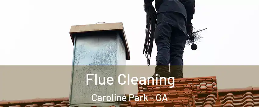 Flue Cleaning Caroline Park - GA