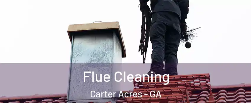 Flue Cleaning Carter Acres - GA