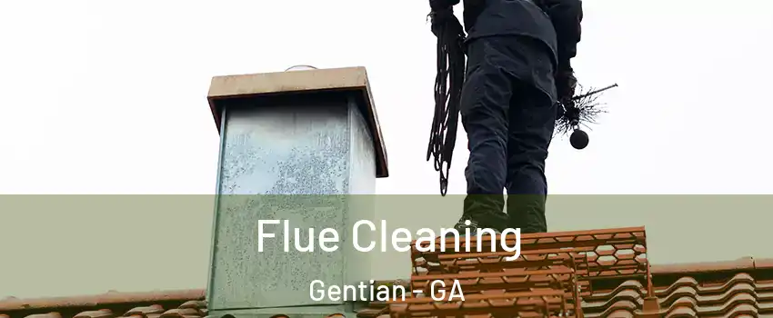 Flue Cleaning Gentian - GA