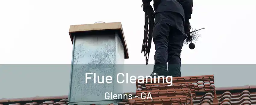 Flue Cleaning Glenns - GA