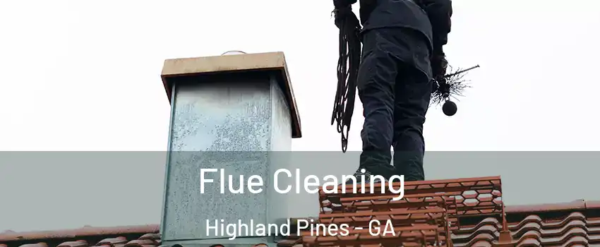 Flue Cleaning Highland Pines - GA