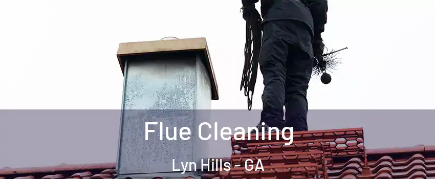 Flue Cleaning Lyn Hills - GA