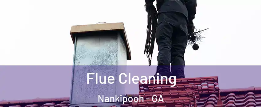 Flue Cleaning Nankipooh - GA