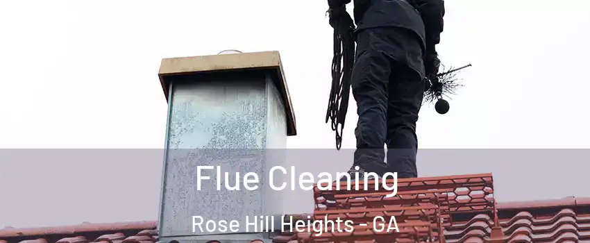 Flue Cleaning Rose Hill Heights - GA