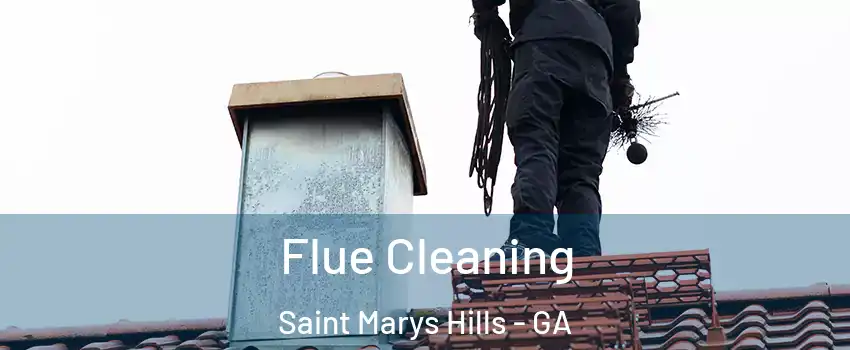 Flue Cleaning Saint Marys Hills - GA