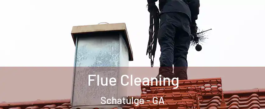 Flue Cleaning Schatulga - GA