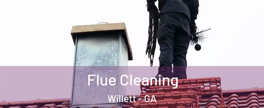 Flue Cleaning Willett - GA