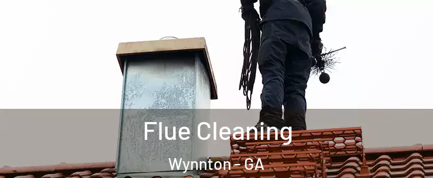Flue Cleaning Wynnton - GA