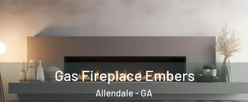 Gas Fireplace Embers Allendale - GA