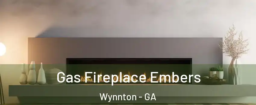 Gas Fireplace Embers Wynnton - GA
