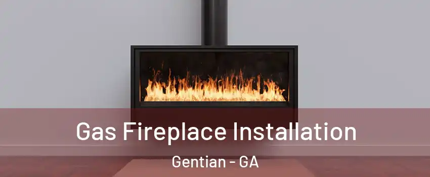 Gas Fireplace Installation Gentian - GA