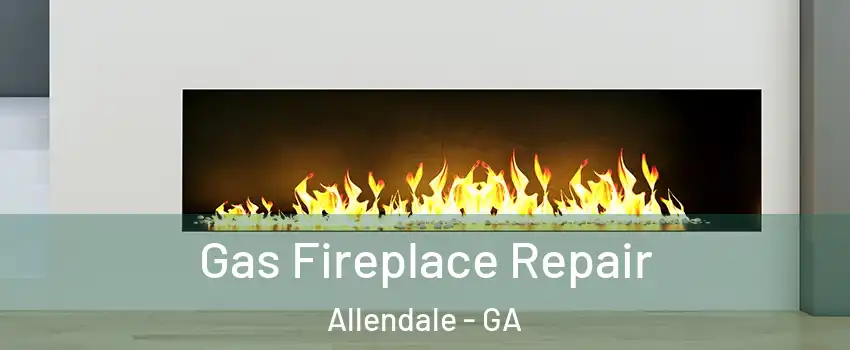 Gas Fireplace Repair Allendale - GA