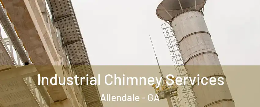 Industrial Chimney Services Allendale - GA