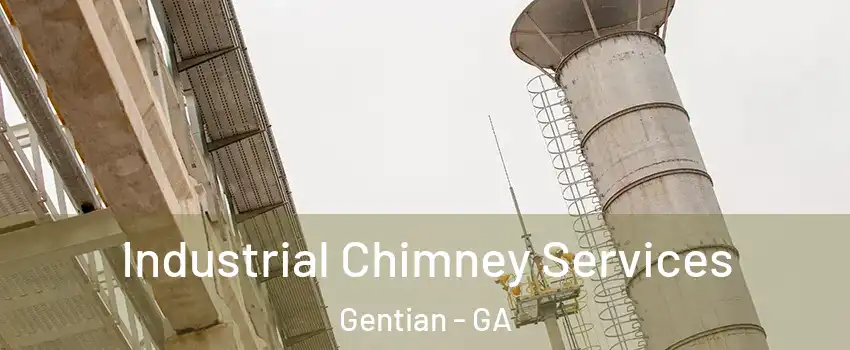 Industrial Chimney Services Gentian - GA