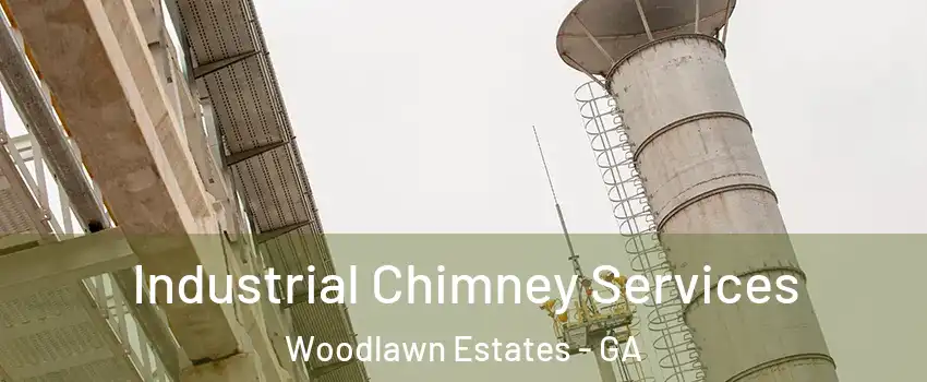 Industrial Chimney Services Woodlawn Estates - GA