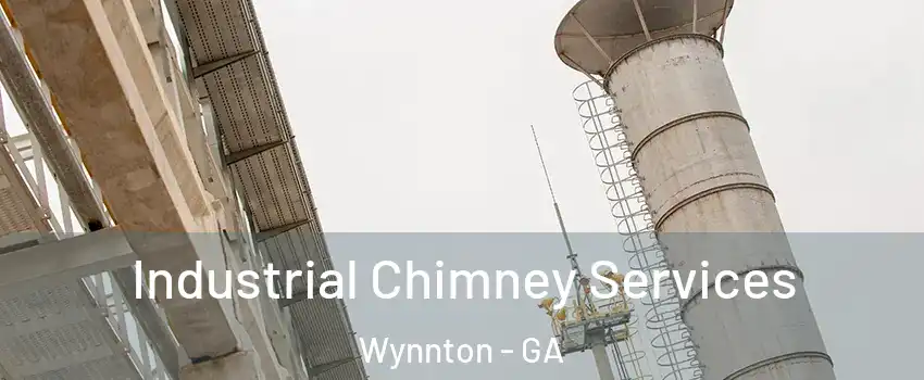 Industrial Chimney Services Wynnton - GA