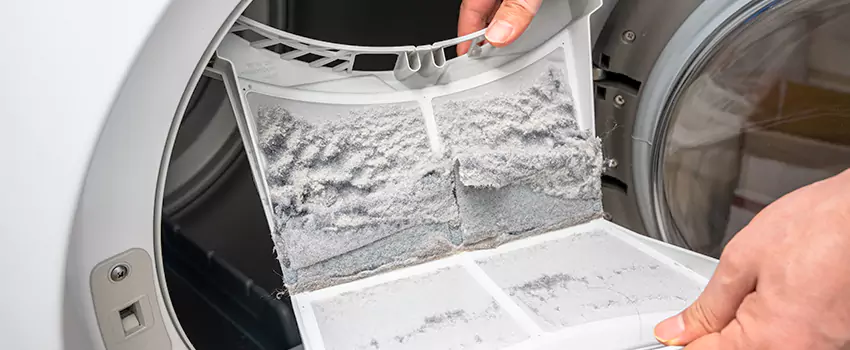 Best Dryer Lint Removal Company in Allendale, Georgia