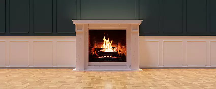 Napoleon Electric Fireplaces Inspection Service in Allendale, Georgia