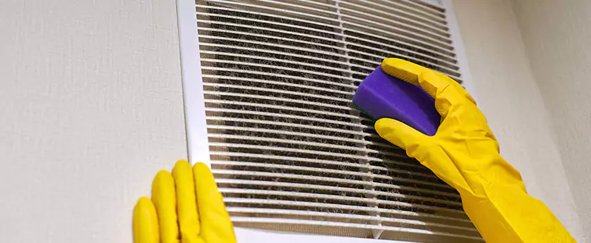 Vent Cleaning Company in Allendale, GA