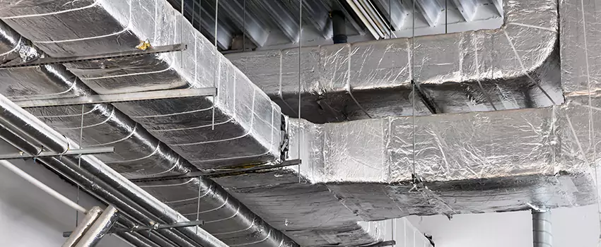 Vent Dust Cleaning Cost in Allendale, GA